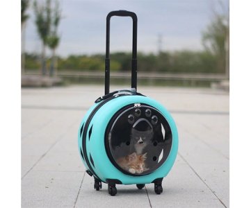 PET STROLLER – Foldable 4-Wheel Travel Carrier for Dogs & Cats | Breathable Mesh, Storage Basket & Safety Lock | Ideal for Walks, Vet Visits & Outdoor Use